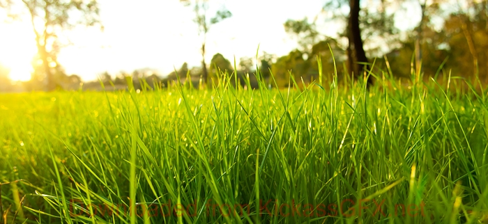 云端存储系统的在线DDOS攻击平台