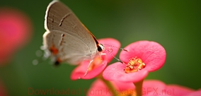 在线DDOS平台攻击