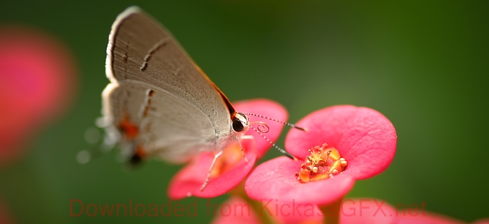 安卓ddos攻击工具